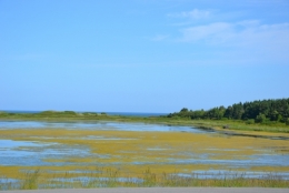 québec,îles,prince edouard,madeleine,traversier,pont,golfe,moncton,paysage