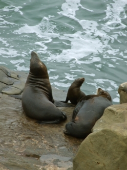 DSCF5562.JPG