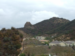 DSCF5596.JPG