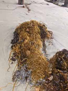 DSCF5541.JPG