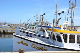 québec,îles,madeleine,golfe,saint-laurent,océan,falaises,fumoir,antan,hareng