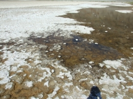 DSCF5765.JPG