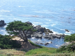 DSCF0033.JPG