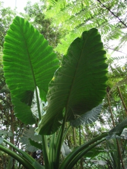 DSCF4568.JPG