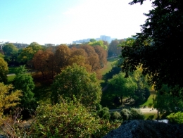 DSCF3192.jpg