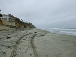 DSCF5586.JPG