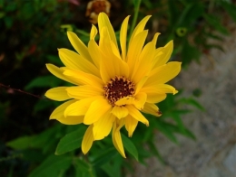 DSCF3215.jpg
