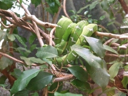 DSCF5480.JPG