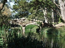 DSCF0368.JPG