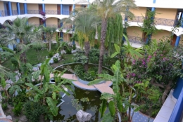 atrium,hôtel,bassin