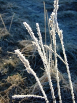 65a8c5412ad96b36ab4fd8f71f0ed9b4.jpg