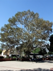 DSCF5373.JPG
