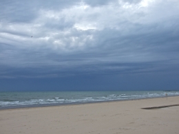 DSCF0811.JPG