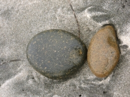 DSCF5574.JPG