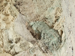 DSCF5749.JPG