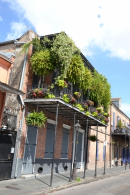 maison,french,quarte,nouvelle,orléans,végétation