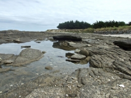 DSCF4246.JPG