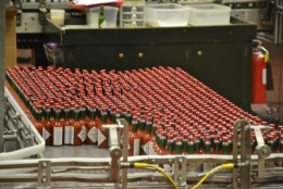 avery,island,louisiane,tabasco,usine,aigrettes,réserve