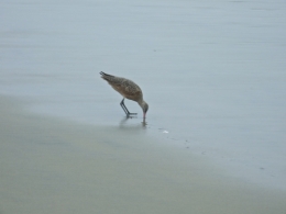DSCF5535.JPG