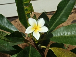 DSCF5449.JPG
