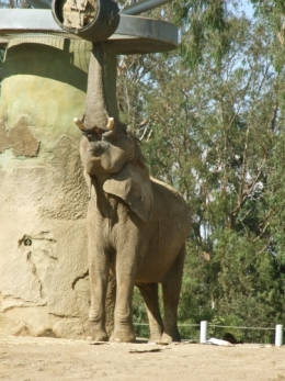DSCF5522.JPG