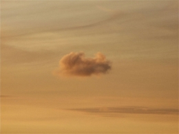 DSCF4174.JPG