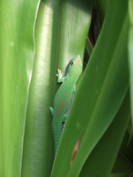 DSCF4538.JPG