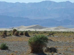 DSCF5779.JPG