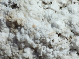 DSCF5767.JPG