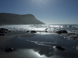 DSCF0210.JPG