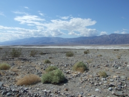 DSCF5732.JPG