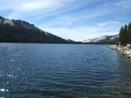 DSCF5856.JPG