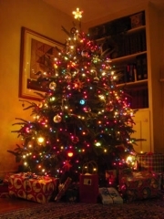 christmas-tree.jpg