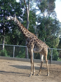 DSCF5530.JPG