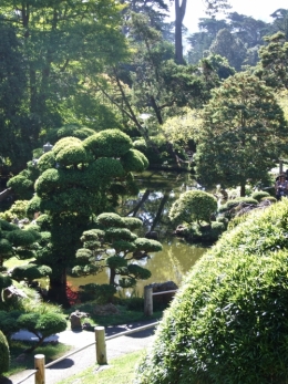 DSCF0364.JPG