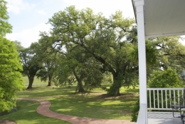 louisiane,i10,white castle,nottoway,plantation,canne à sucre