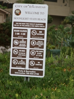 DSCF5590.JPG