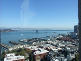 DSCF0317.JPG