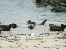 DSCF5554.JPG