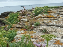 DSCF4238.JPG