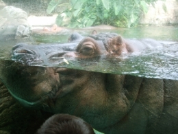 DSCF5507.JPG