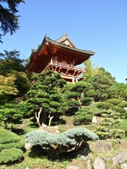DSCF0355.JPG
