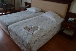 atrium,hôtel,chambre