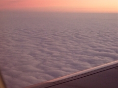 DSCF5312.JPG