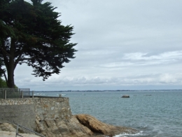 DSCF4270.JPG