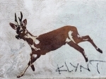 DSCF3822.jpg