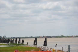 mississipi,new,orleans,louisiane,sud,usa,nature,promenade