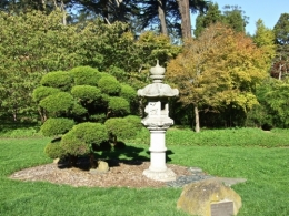DSCF0346.JPG
