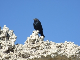 DSCF5845.JPG