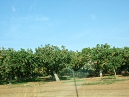 DSCF5884.JPG